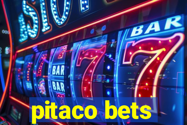 pitaco bets